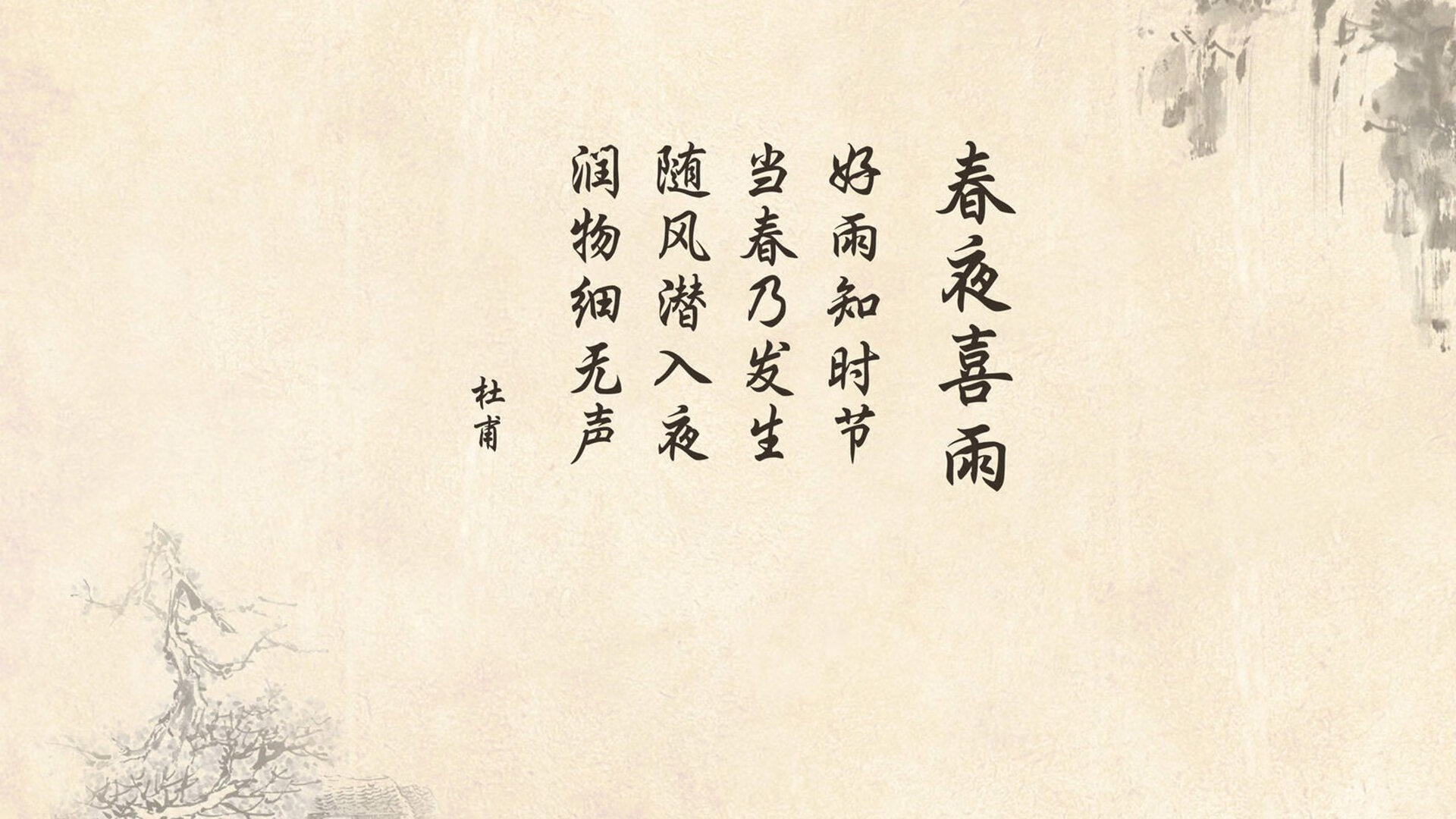 新星登场：联盟新秀的成长轨迹分析，新秀联赛
