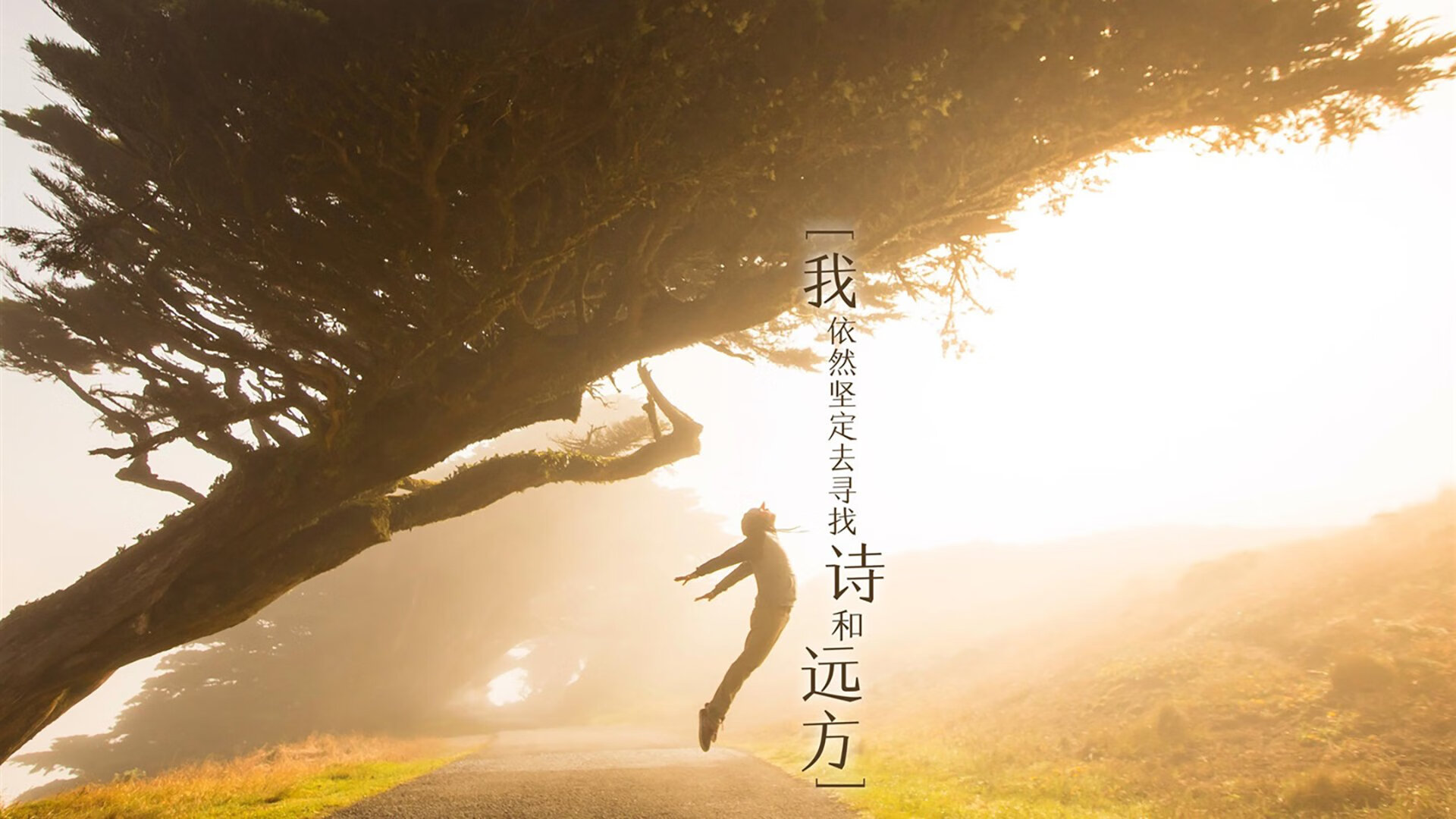 篮球场馆多功能利用率显著提升，篮球场场馆