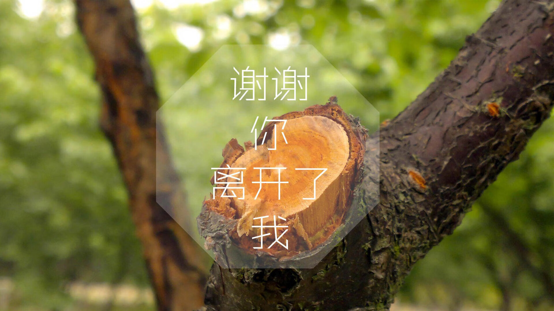 尤文图斯球迷支持热烈，尤文图斯球迷多吗