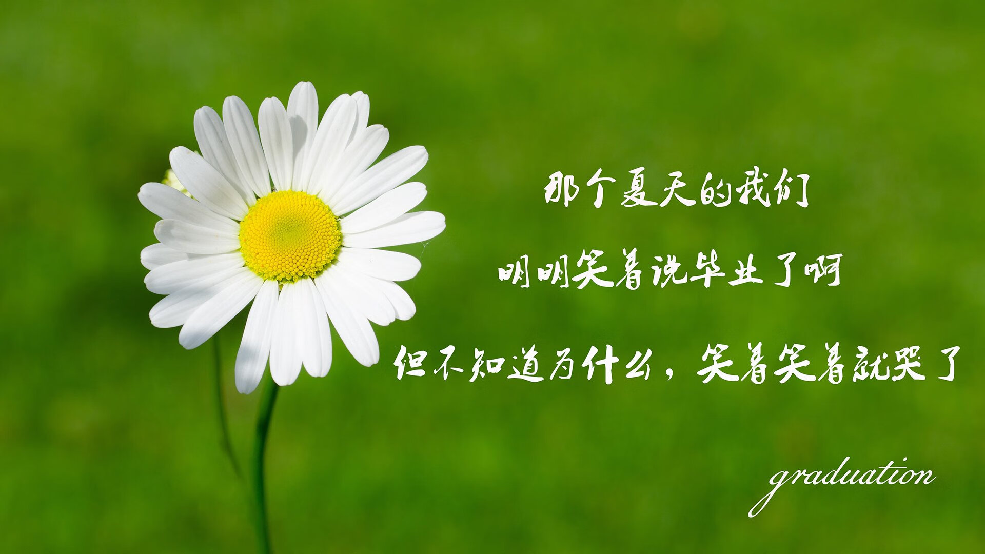 逆转滑雪障碍赛老将重返巅峰，反转滑雪场电影