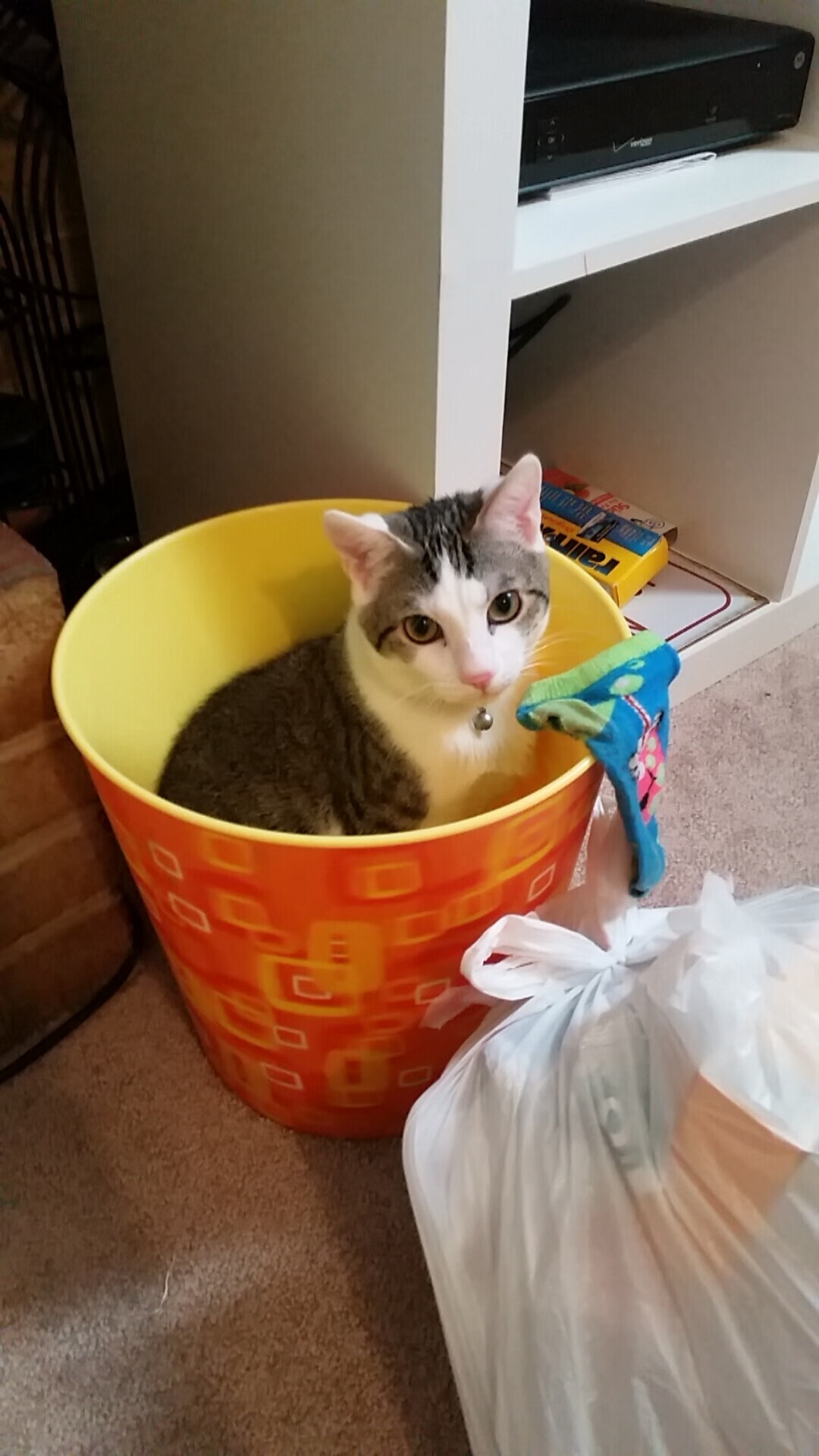 爱游戏中国官方网站平台-城市杯决赛临近各大平台纷纷上线专题报道预热热度飙升，城市比赛叫什么节目