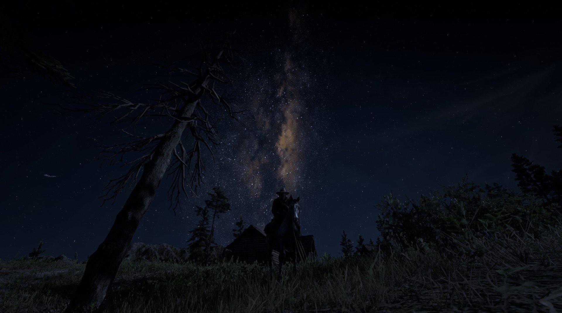 AYX SPORTS-年轻跳水运动员崭露头角，未来可期，年轻的跳水运动员