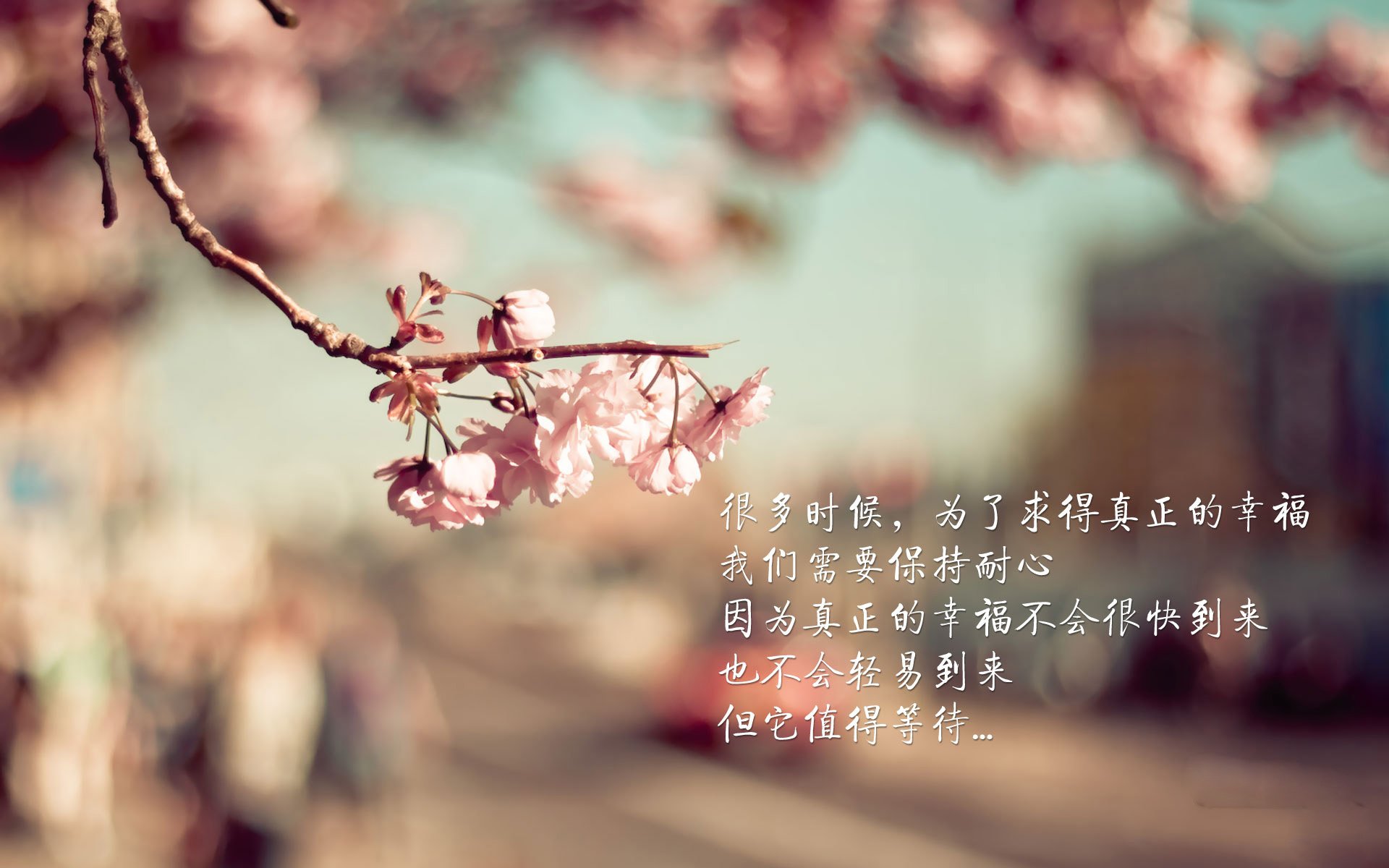 数据统计显示传球成功率提升得益于整体跑位更加合理,传球技术