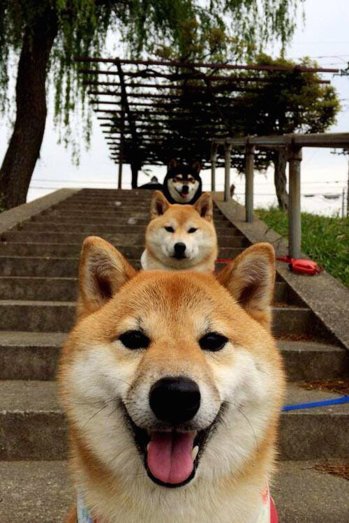 柯洁逆风翻盘围棋冠军赛,柯洁逆风翻盘围棋冠军赛第几名