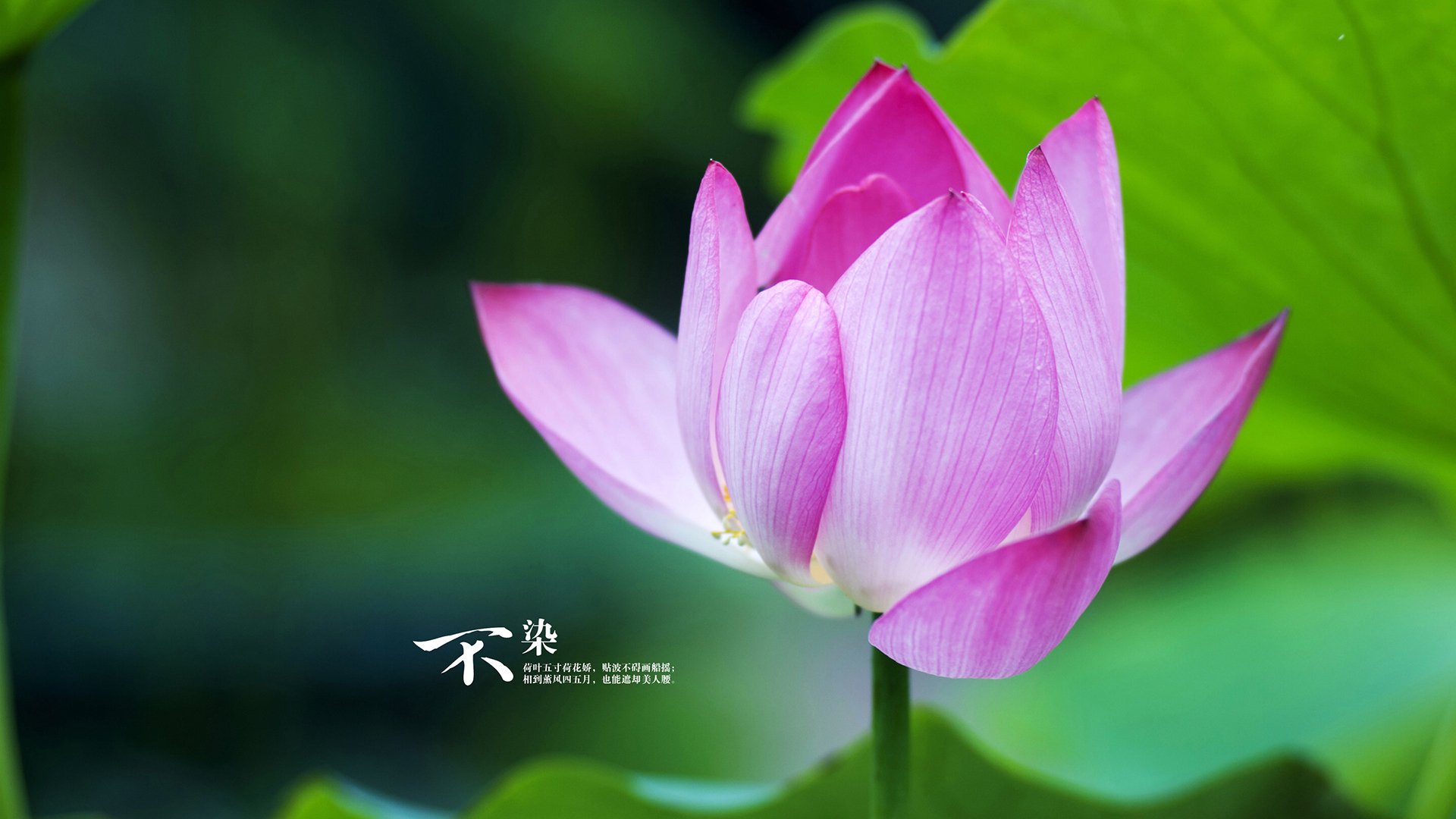 爱游戏登录入口-热火全队健康数据本赛季首次公开，热火全部队员