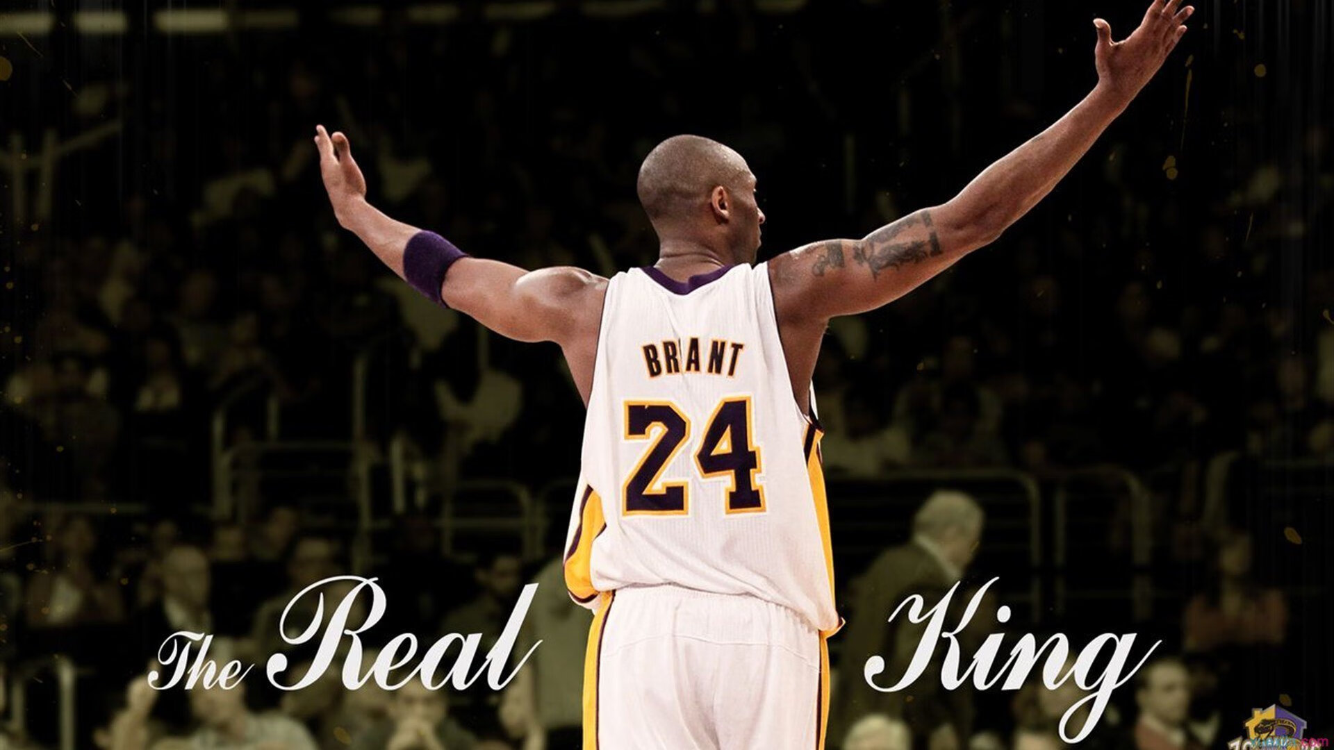 AIYOUXI.COM-中国篮球联赛观众人数持续上涨，体现全民体育热情，中国全国篮球